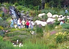 Der Kräuterpark im Harz unweit der Ferienwohnung